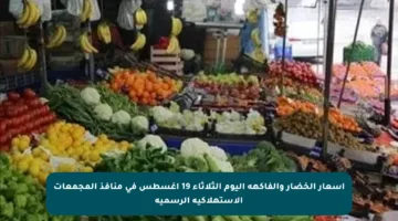 أسعار الخضار والفاكهة اليوم الثلاثاء 19 أغسطس في منافذ المجمعات الاستهلاكية الرسمية